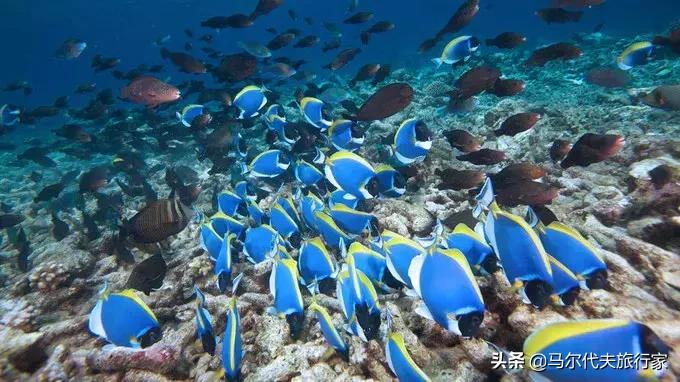 马尔代夫6星推荐,马尔代夫超五星推荐