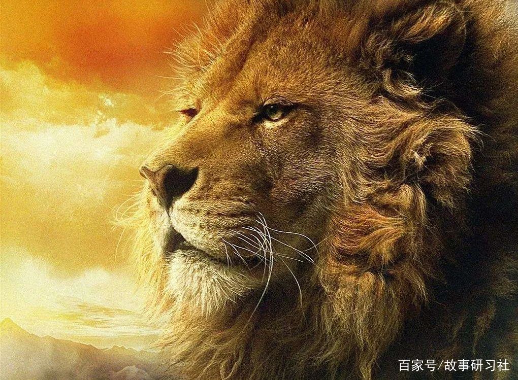 纳尼亚传奇奇幻,纳尼亚传奇至高魔典