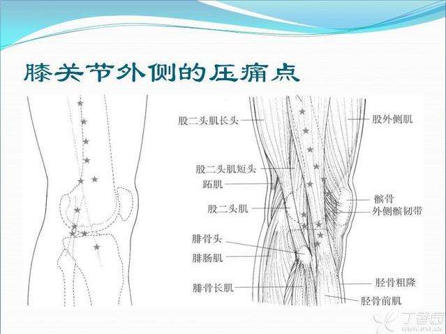 针灸加推拿治疗顽固性退行性关节炎一例