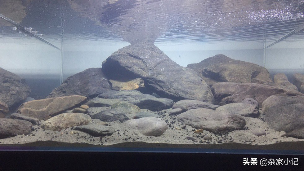 原生缸加热推荐,不用过滤器的原生缸