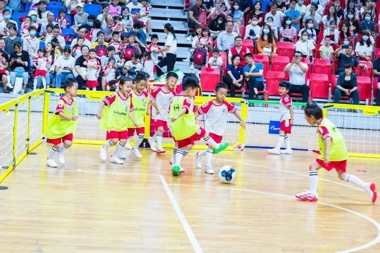 派迪茵训练器,派迪茵射门训练器