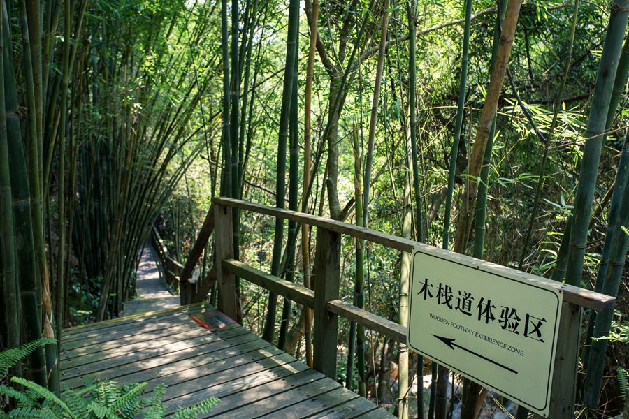 华侨城瀑布酒店房+餐+票，全部只要499！景区VIP通道免排队等你来