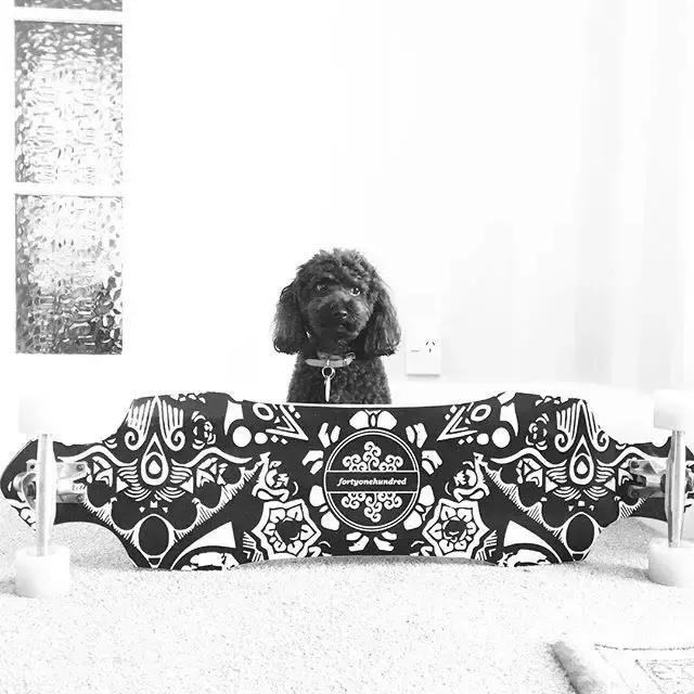 墙上画画装饰,把家里白墙都画满好看的画