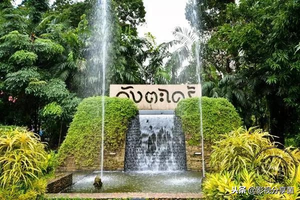 男女主双颜值在线的番,男女主双商都高的电视剧