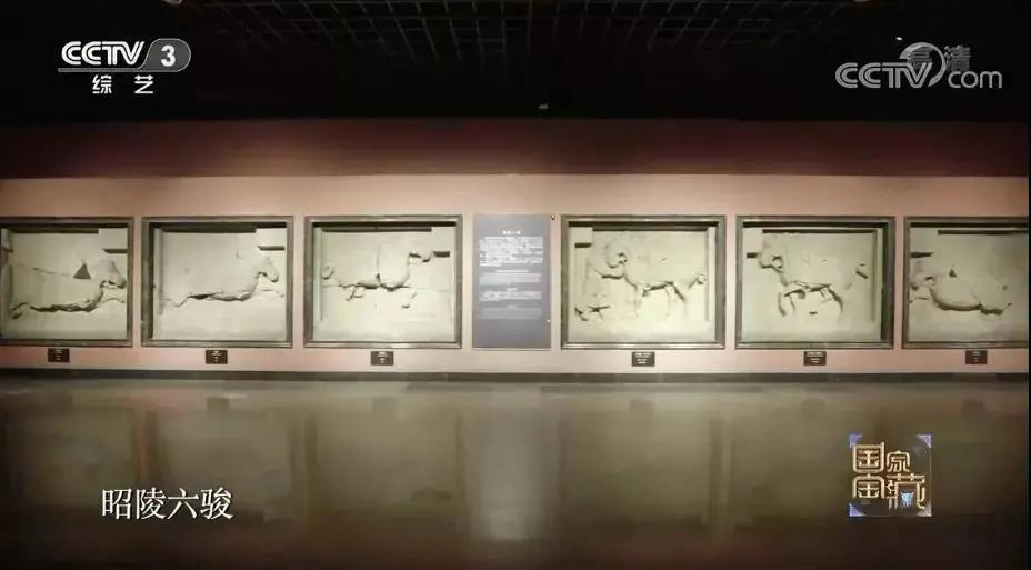 脑洞大开方言购物,脑洞大开的车有哪几种