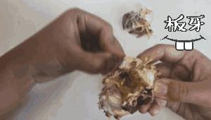 孕妇体质燥热可以吃螃蟹吗,孕妇偏寒体质可以吃螃蟹吗