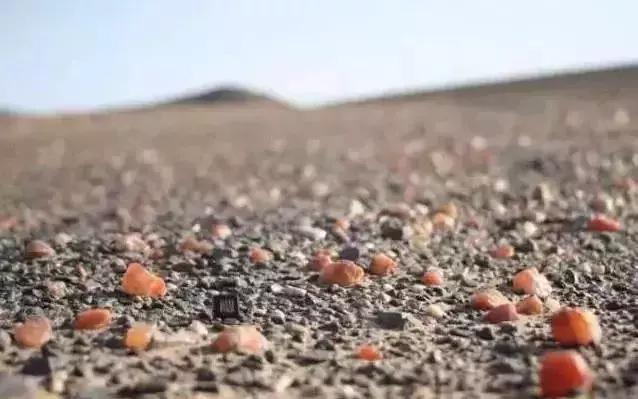 阿拉善戈壁滩玛瑙奇石图片,戈壁滩上的奇石美到令人窒息