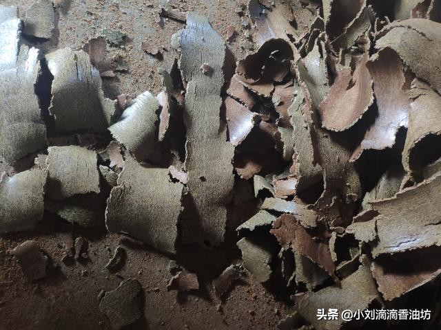 菜籽饼打窝能钓什么鱼,菜籽饼打窝用什么饵挂钩