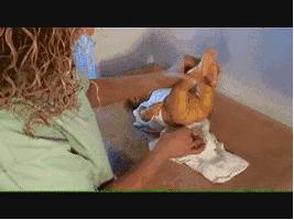 帮宝宝换尿不湿的正确方法,怎样给宝宝换尿不湿时不吐奶