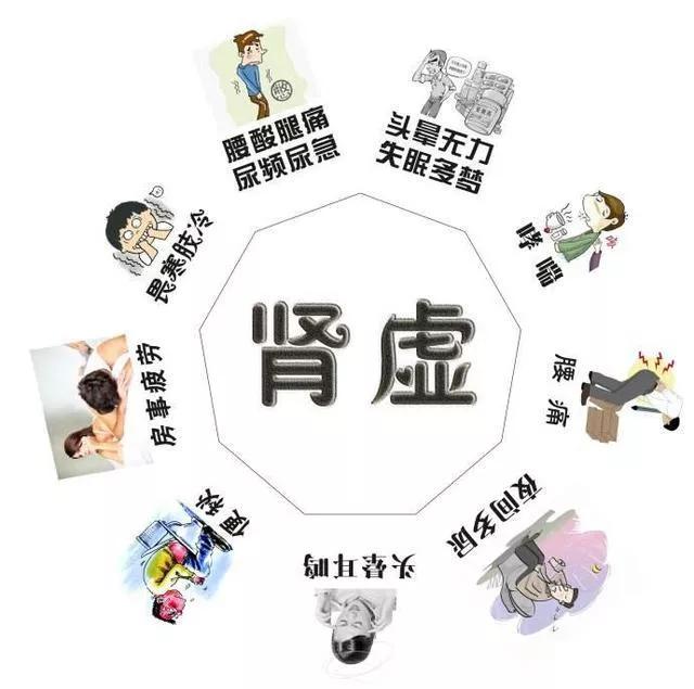 这“肾”不是那“肾”——说说国人口中的“肾”虚