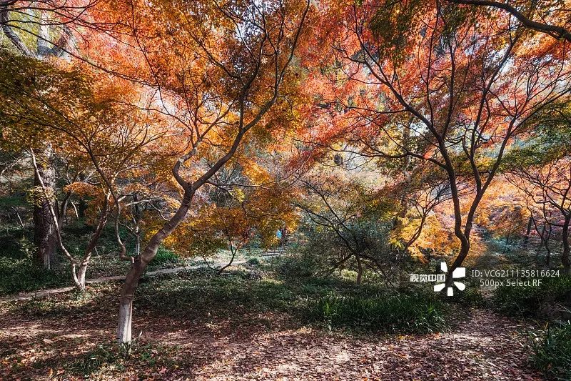 去了那么多次你真的了解南京吗,去了很多地方就会有阅历吗