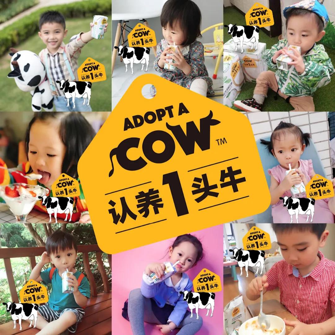 家庭元气满满的简单的早餐,元气满满早餐食谱大全