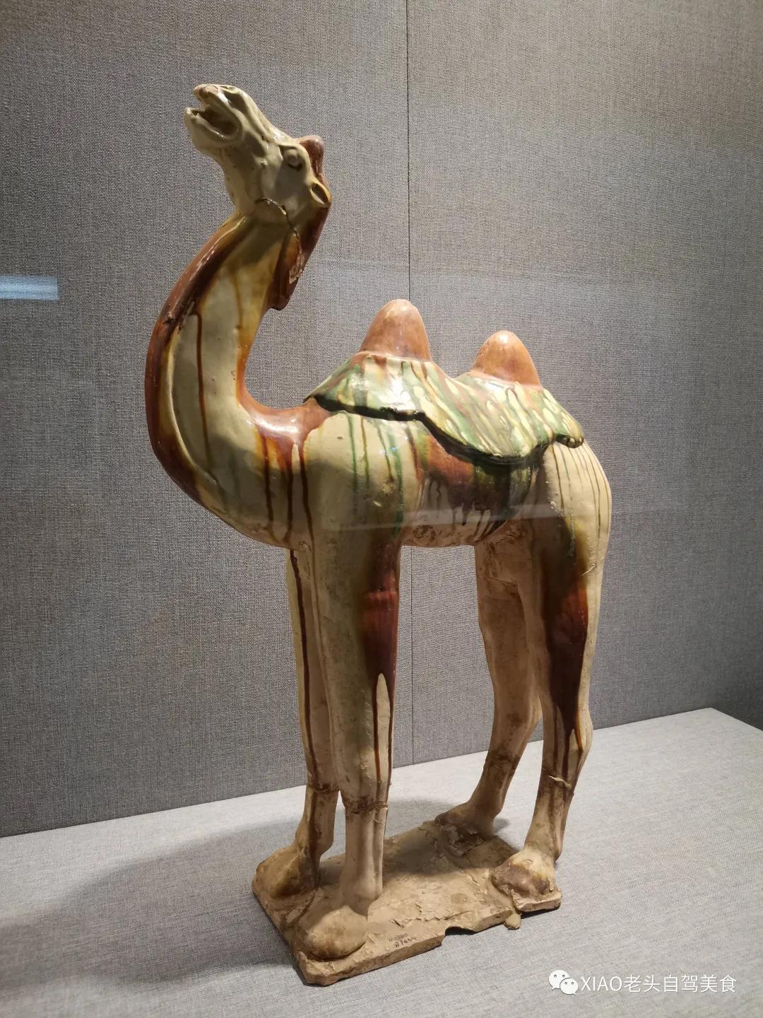 洛阳博物馆自驾旅游攻略,洛阳附近美食博物馆