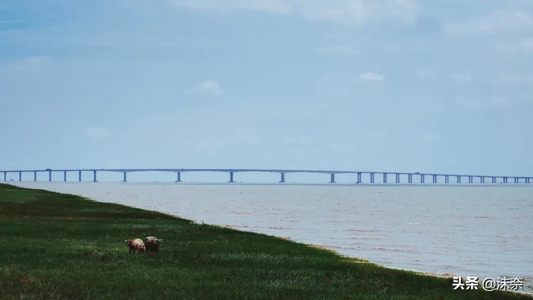 南通为什么是中国的第一座城市,南通是一个怎样神奇的城市