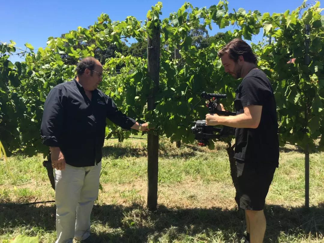 澳大利亚原瓶进口葡萄酒好吗,澳大利亚十大进口葡萄酒