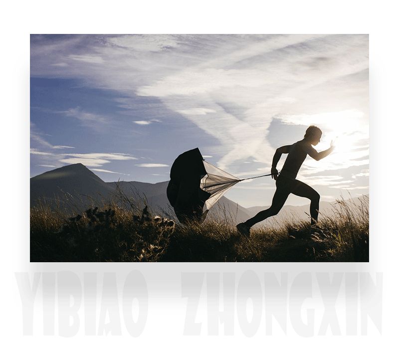 拥有百达翡丽有多少人,拥有劳力士超过多少人