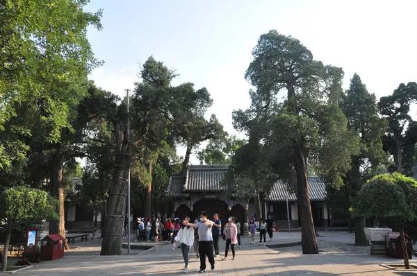 孔府文化之旅,山东曲阜孔府之旅日记