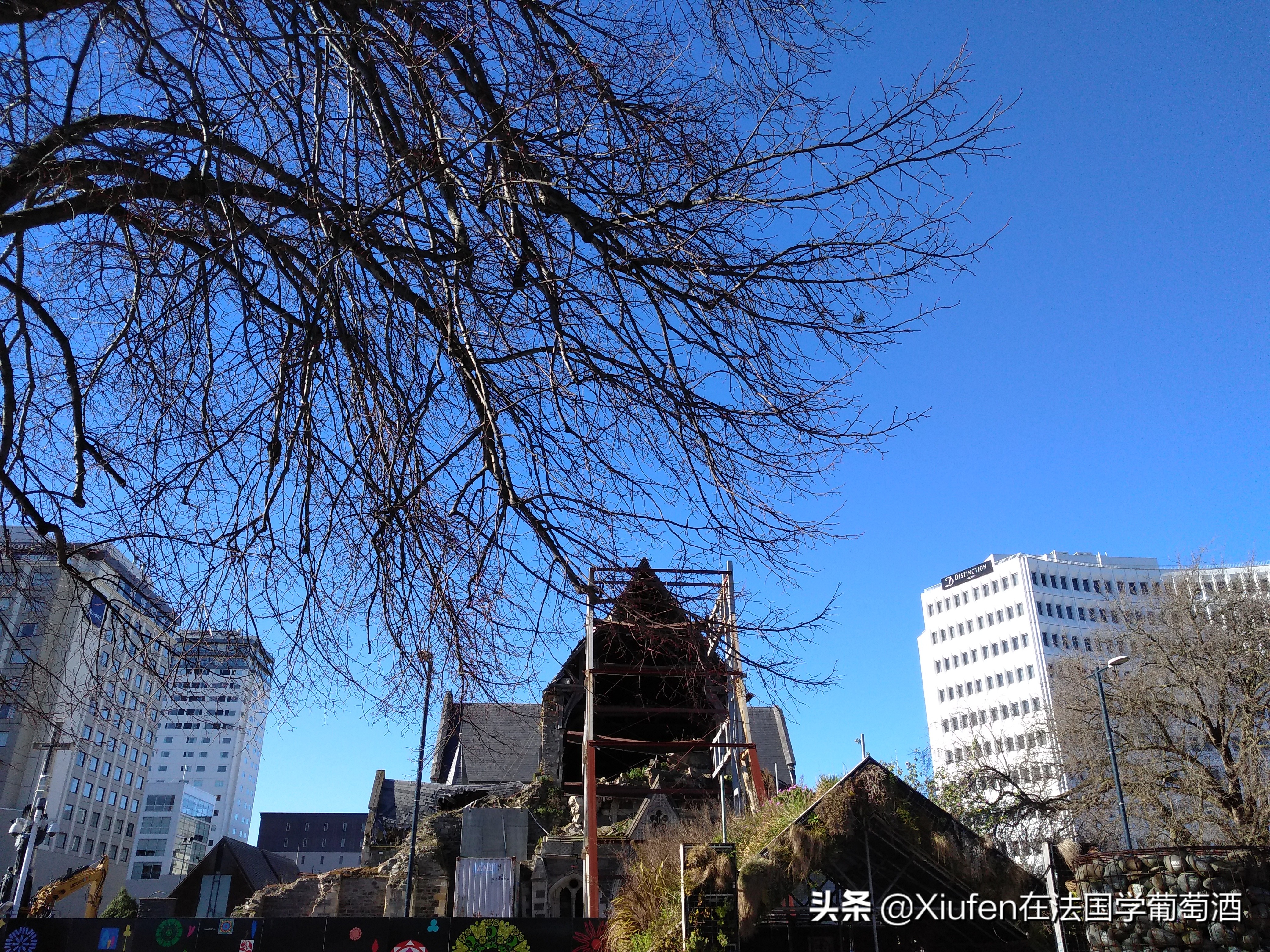 新西兰基督城城市风景,新西兰基督城风景漫步