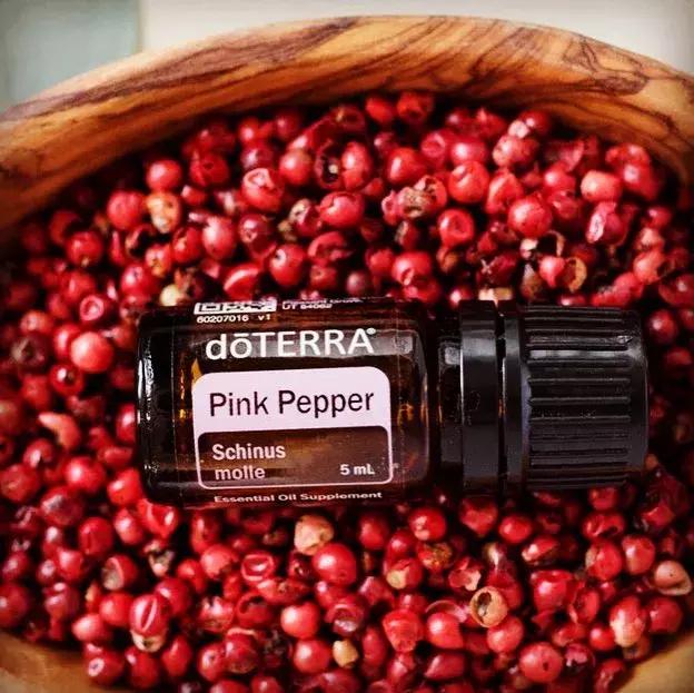 黑胡椒白胡椒香料介绍,山胡椒怎么分白胡椒和黑胡椒