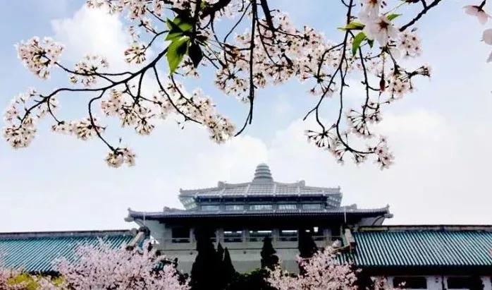 几月赏樱花最好,最美赏樱攻略大全