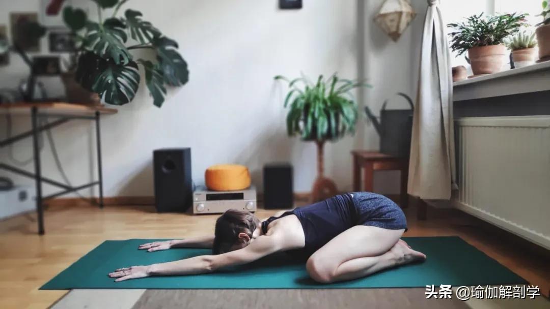 一套适合晨练的瑜伽序列越练越美,初学者简单瑜伽每天必练8个动作