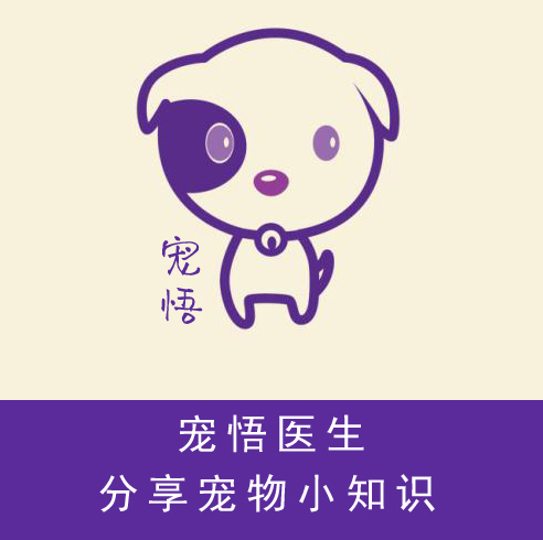 狗狗断尾为什么在三分之一处图解,泰迪狗狗如果不断尾会怎么样