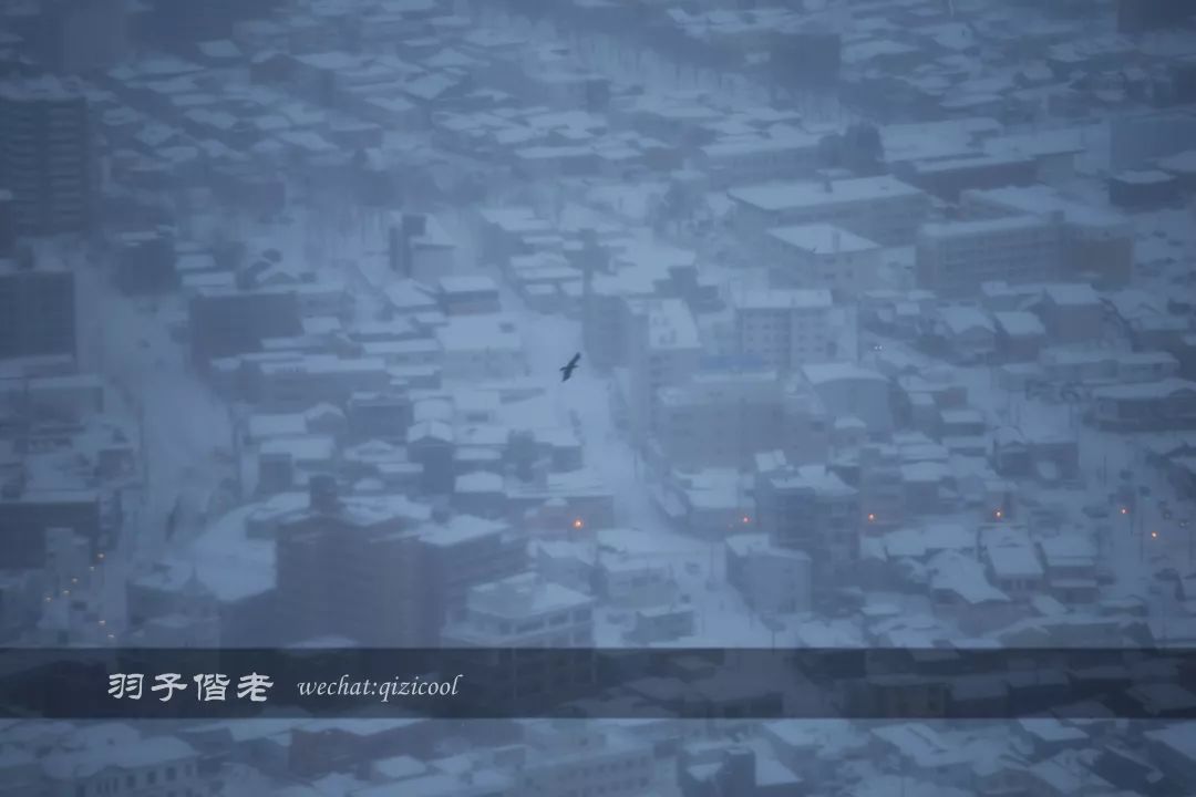 日本10天自由行费用北海道,东京北海道5日自由行攻略