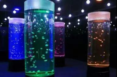 推荐熊孩子玩的游戏,周末去童趣熊儿童乐园玩