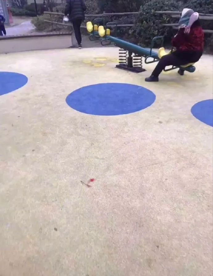 鱿鱼墨鱼乌贼八爪鱼章鱼的区别,墨鱼与鱿鱼章鱼八爪鱼有什么区别