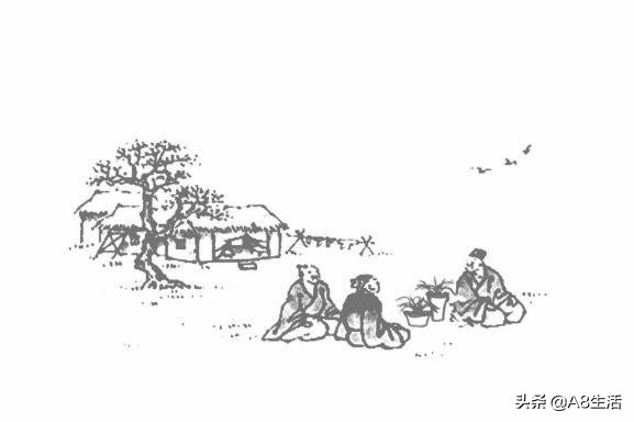 每日一品,蕙兰潘绿梅和庆华区别