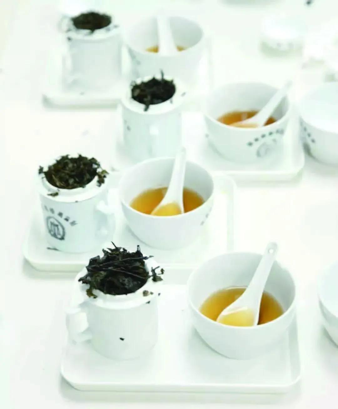 中国茶叶博物馆要预约吗,中国茶叶博物馆茶友会