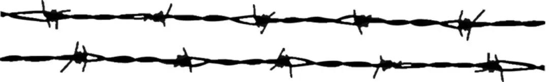 堪比当年的迈克尔杰克逊,迈克尔杰克逊巅峰长相