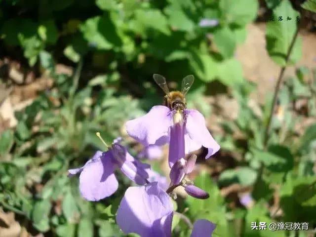 郑州黄河风景游览区五一免门票吗,107复线郑新黄河大桥收费吗