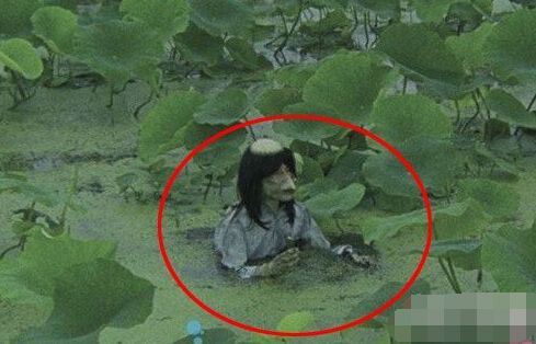 水鬼水猴子是真实存在的吗,为什么水猴子要称为水鬼