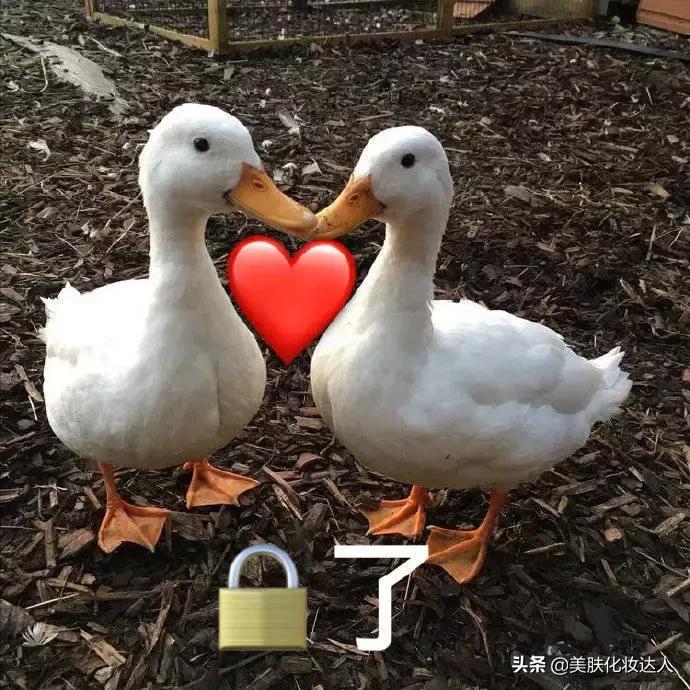 眼霜哪款才是真正有效好用的,公认好用不贵的十大眼霜排名