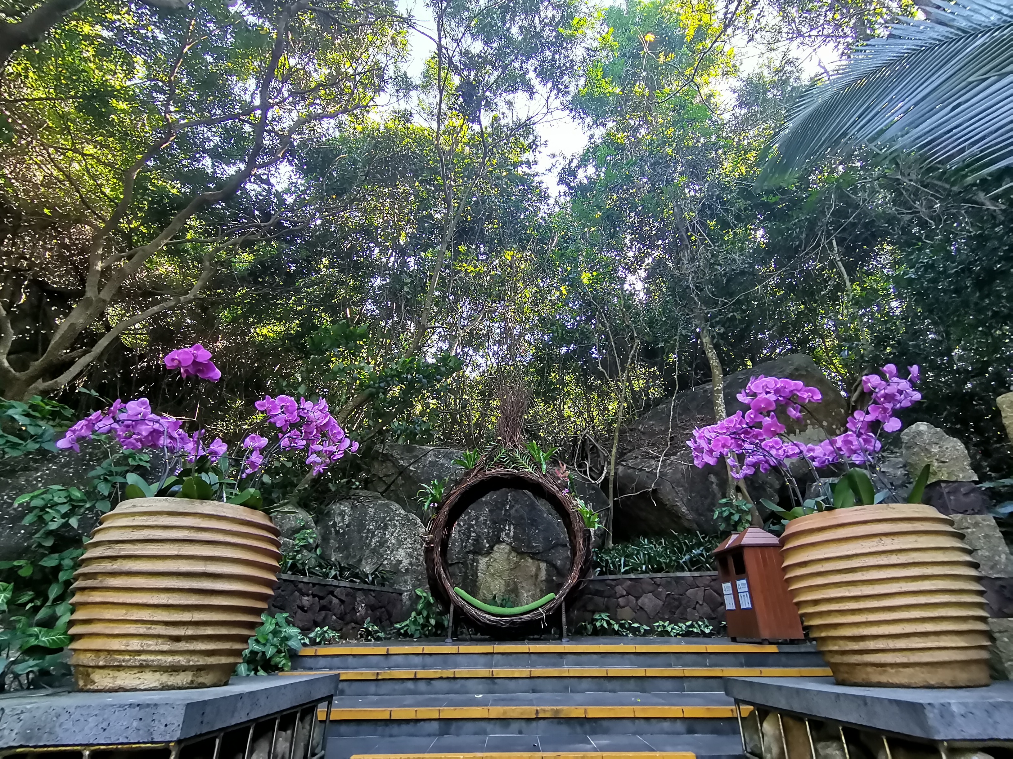 去了海南三亚,去完三亚热带森林公园可以逛哪里