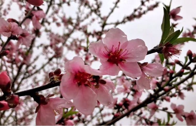 小众民宿住宿推荐,湖北郊游民宿