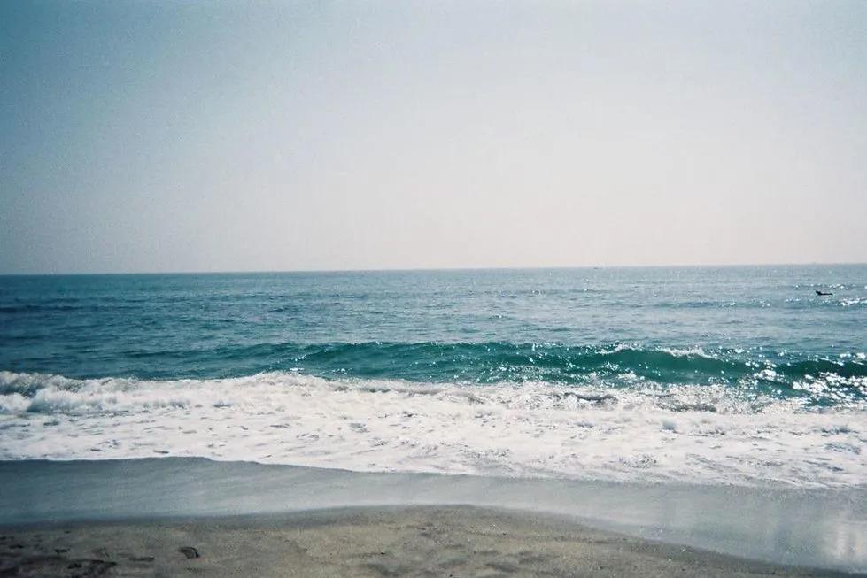 blackpink同款胶卷相机,blackpink同款胶片机