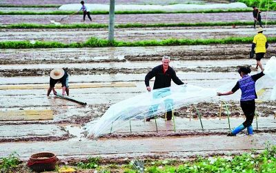 智慧农业自动浇水,家里自动浇花