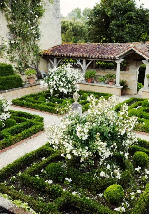 干货分享种植小技巧,混合花境设计与种植建议