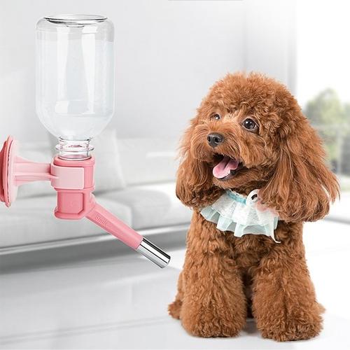 长毛犬推荐公的还是母的,新手怎么选宠物狗小型犬