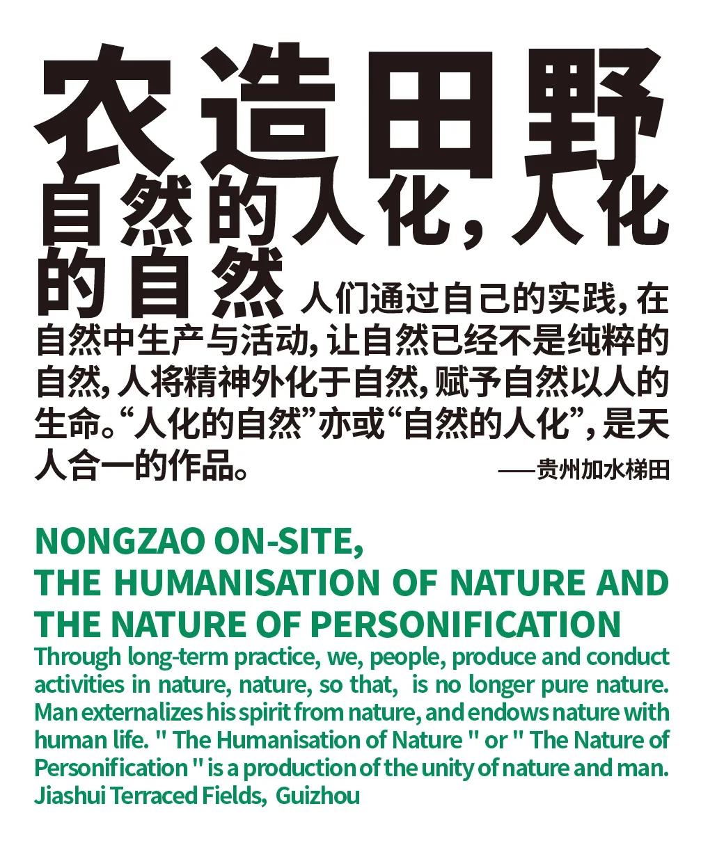 农造田野丨总有一根神经通往乡野|月亮山百里梯田