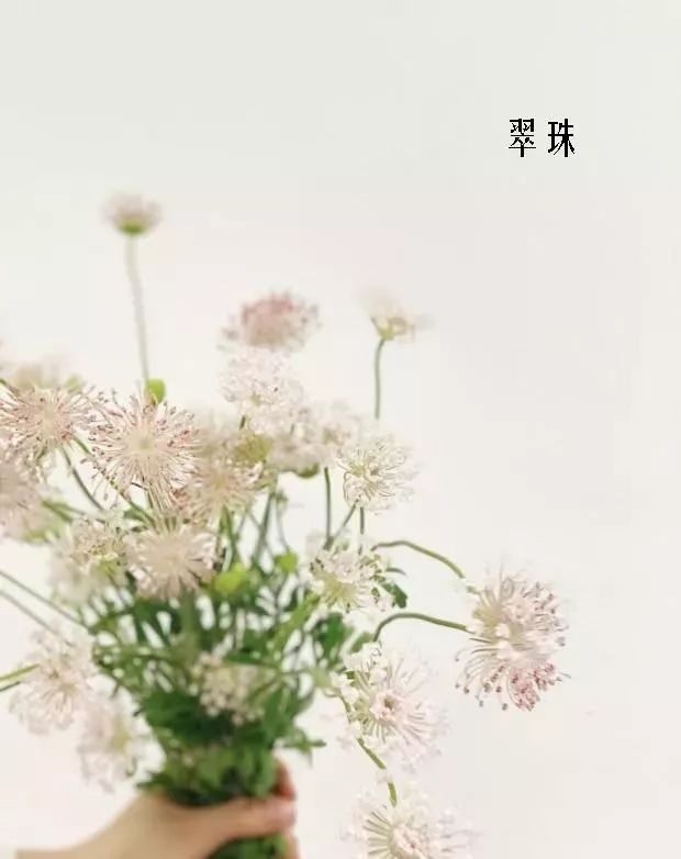 花店里同款的两种不同价格的花材,花店最容易被顾客误解的几种花材