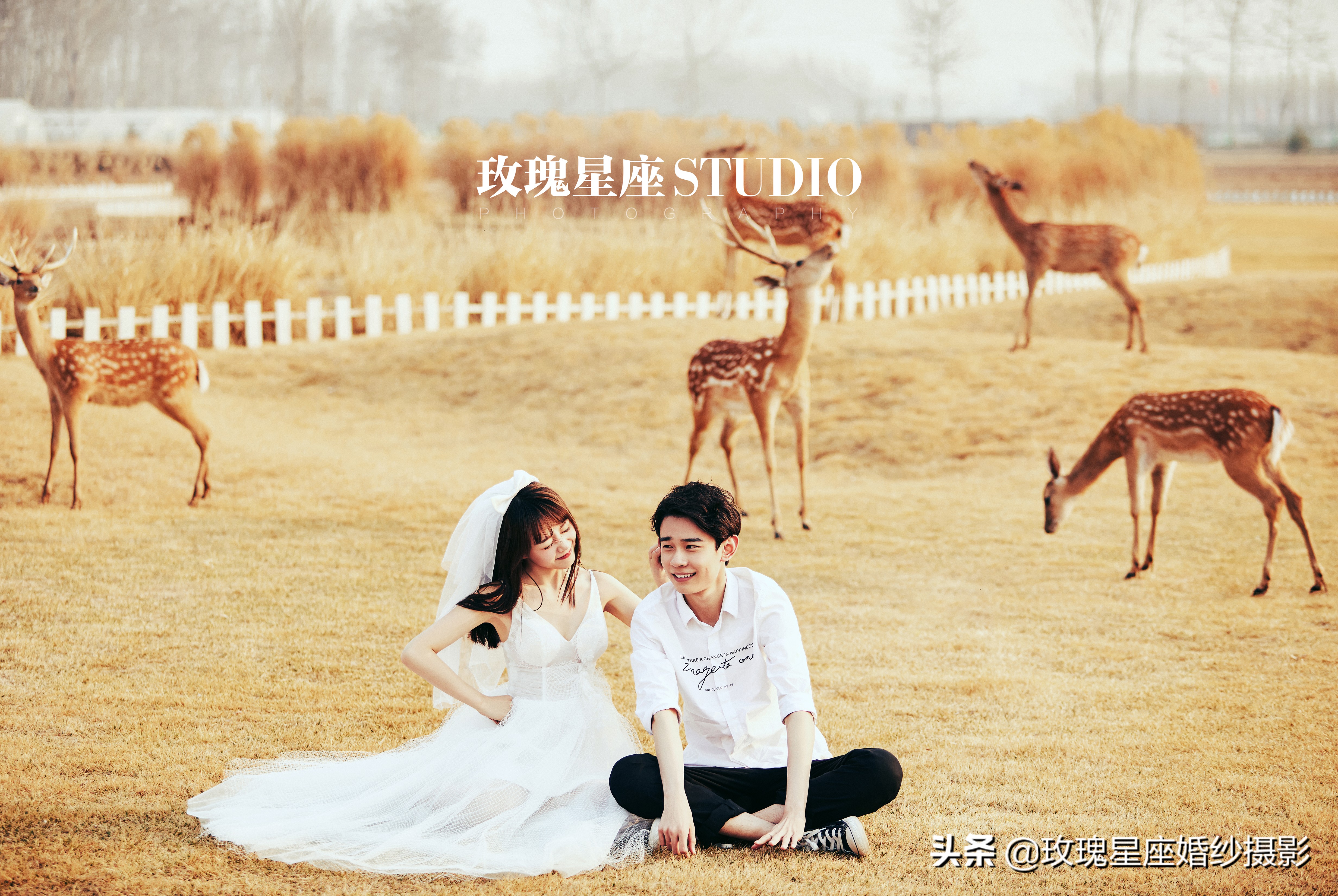 婚纱照都怎么拍最合适,拍婚纱照自己怎么拍才能好看呢