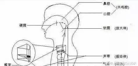 唱歌高音上不去气息,高音上不去怎么办