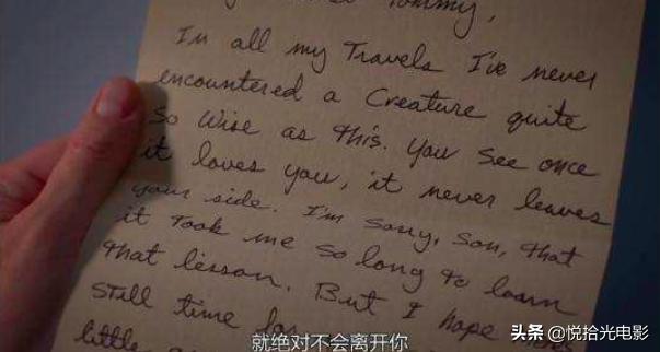 用一句话评价波普先生的企鹅,波普先生的企鹅