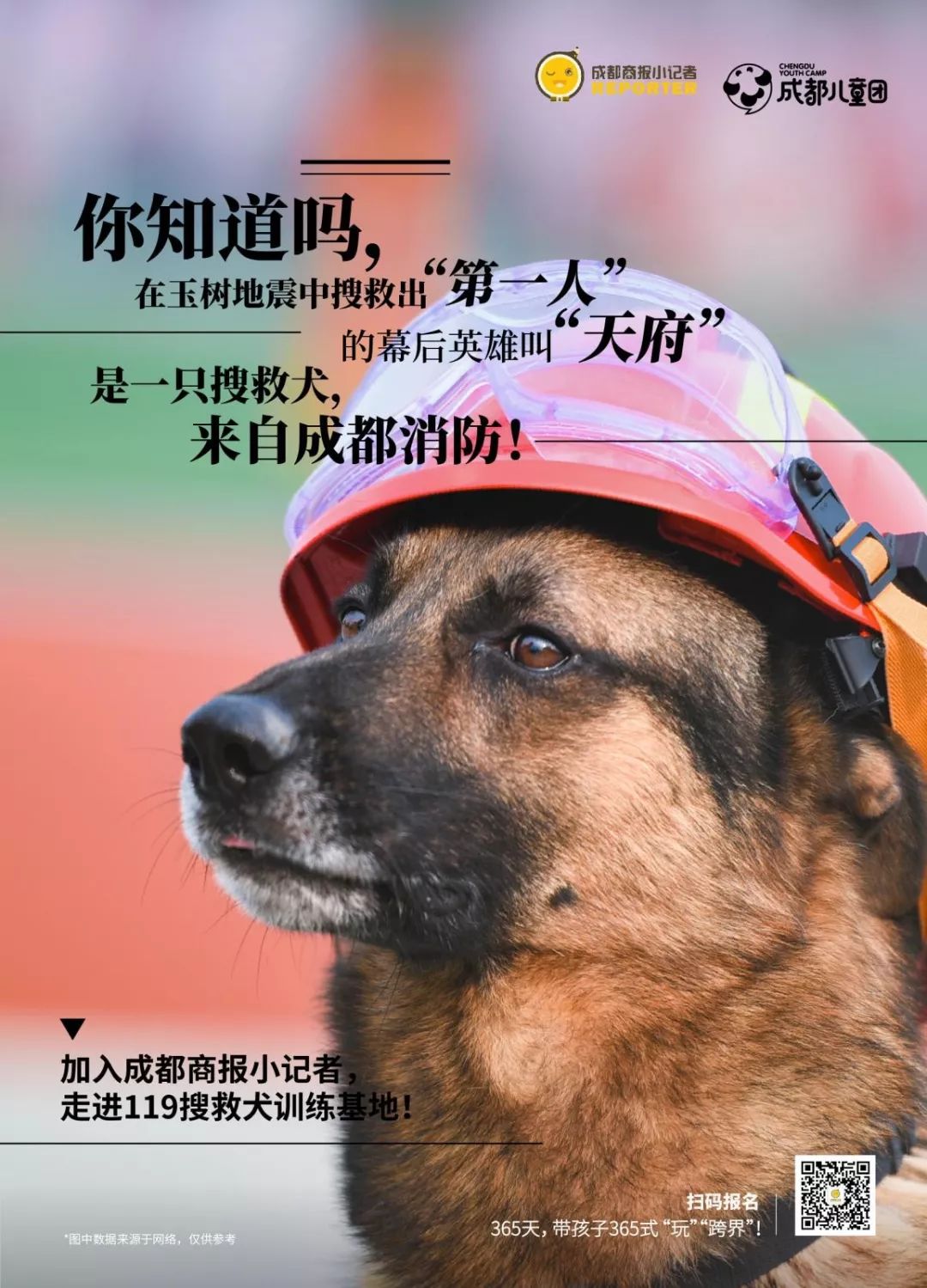 小记者课堂丨“中国动物小说大王”沈石溪：大胆模仿、大胆借鉴