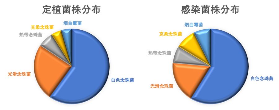 慢阻肺患者合并真菌感染,慢阻肺和真菌定植有关系吗