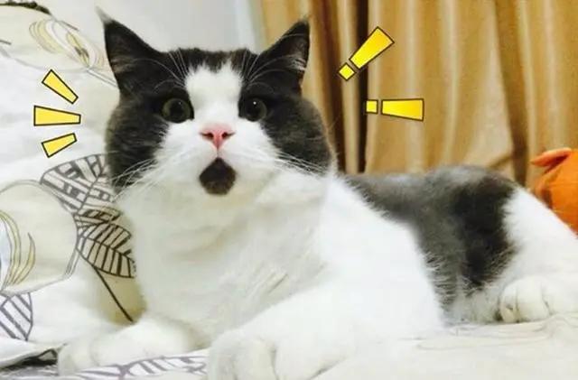 窗帘怎么选材质省钱,窗帘材质的选购技巧和讲究