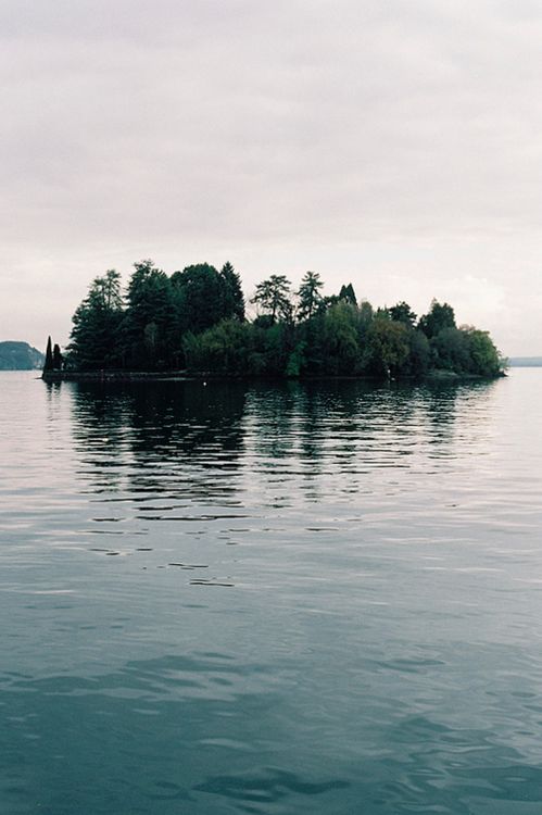 薛定谔的仪式感——是什么让每一杯茶都值得纪念?